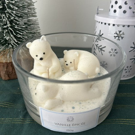 Bougie vanille épicée - Taille L